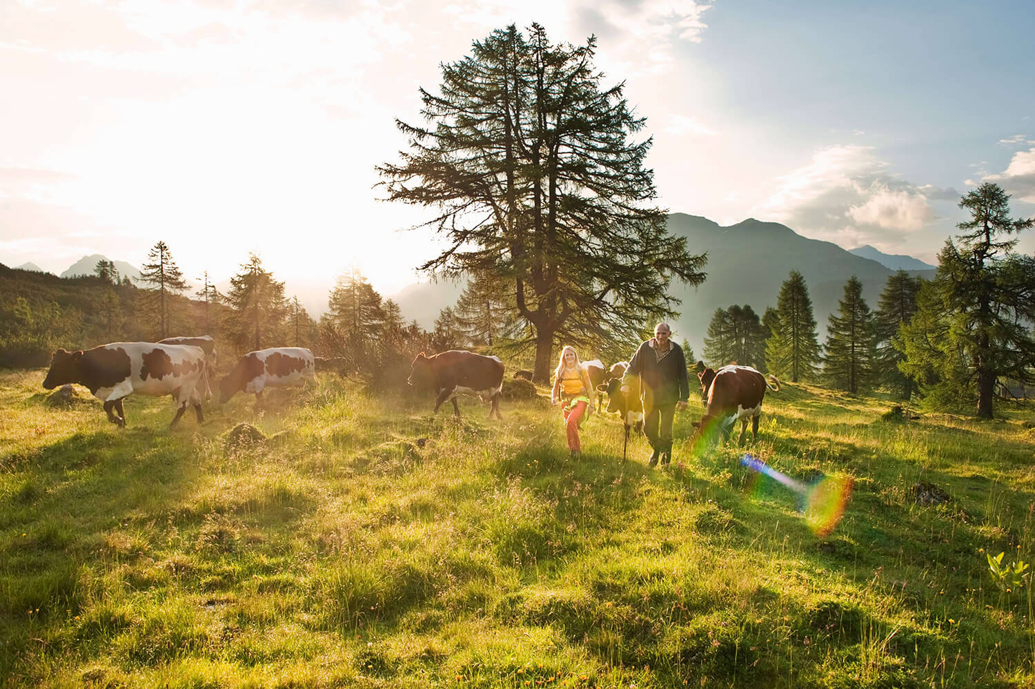 Intakte Bergwelt ist Spiegelbild einer nachhaltigen Energiewirtschaft